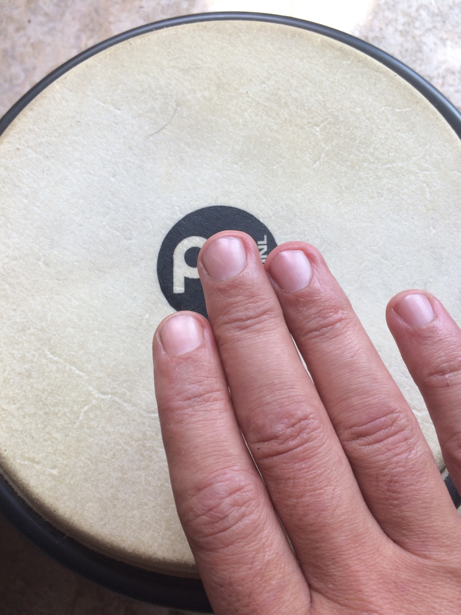 BONGOS FINGERS